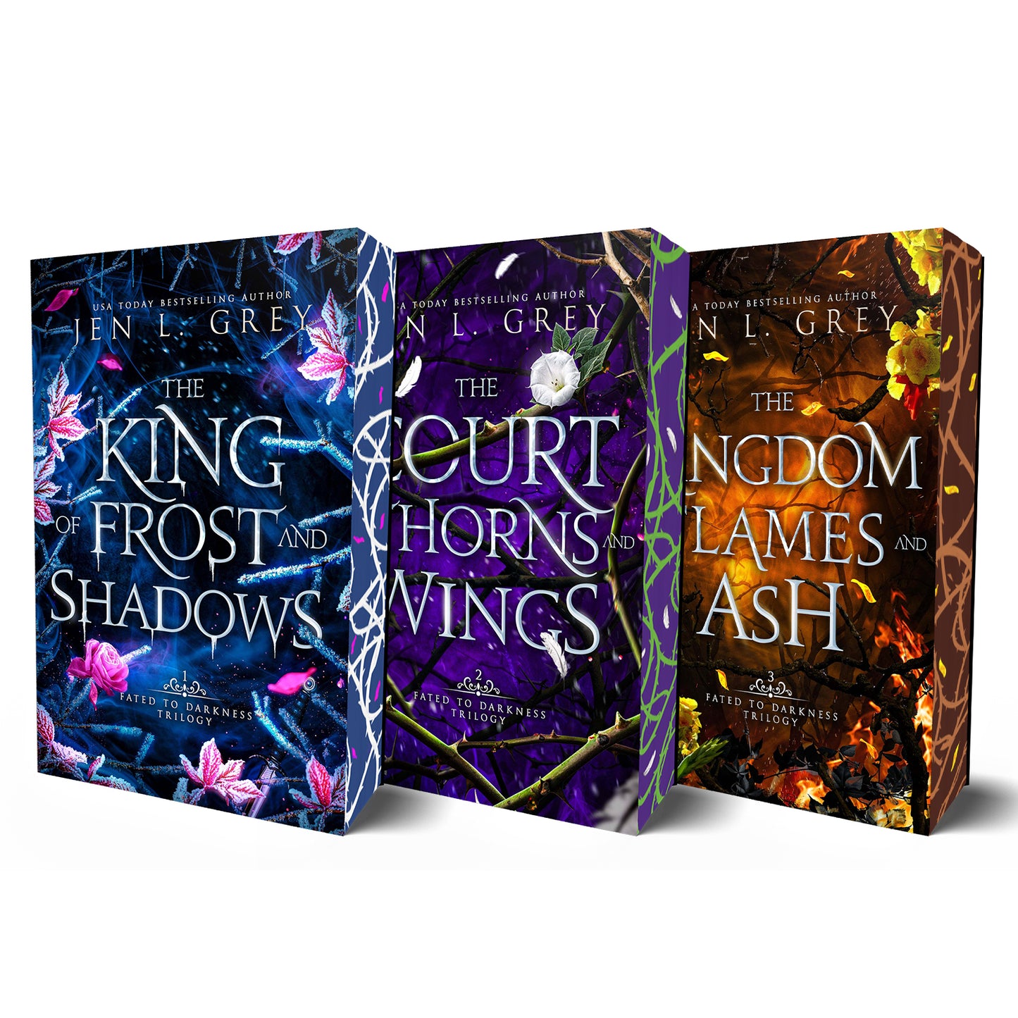 Fated to Darkness Special Edition Paperback Bundle | Jen L. Grey