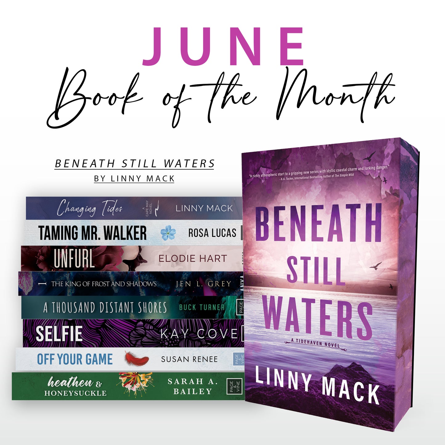 Page & Vine Book of the Month