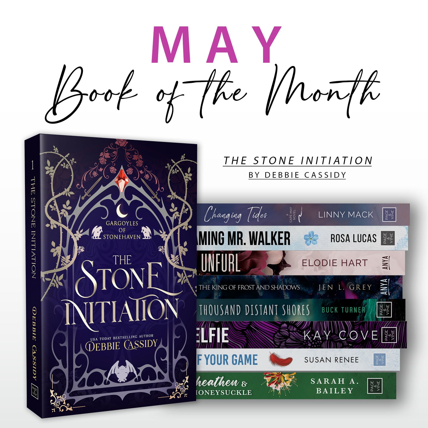 Page & Vine Book of the Month
