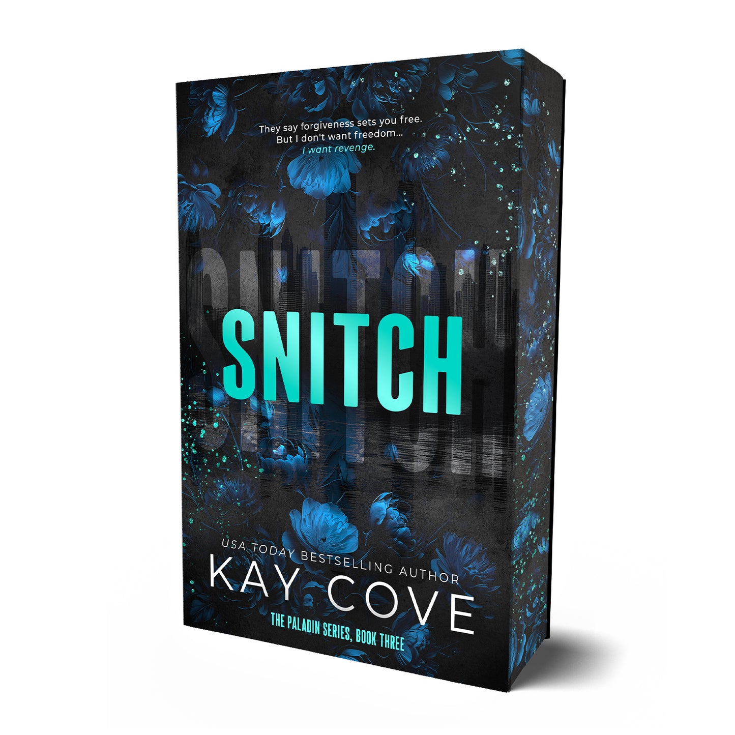 Snitch | Paladin #3 | Kay Cove | PREORDER | Available 9/15/26